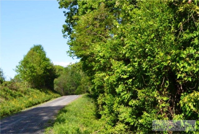 0 Elk Creek Ridge Road Sparta, NC 28675 - Photo 5 of 11 Gallery Image 5