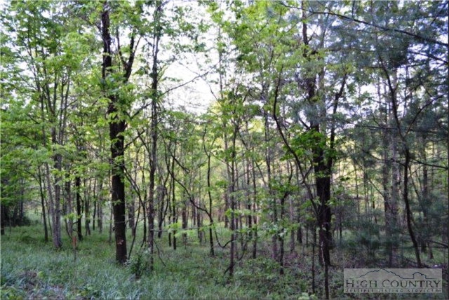 0 Elk Creek Ridge Road Sparta, NC 28675 - Photo 7 of 11 Gallery Image 7