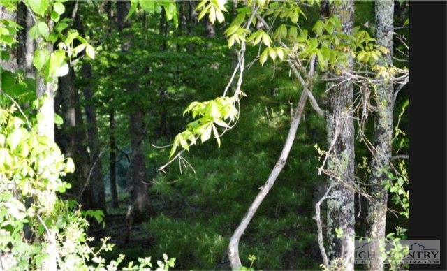 0 Elk Creek Ridge Road Sparta, NC 28675 - Photo 10 of 11 Gallery Image 10