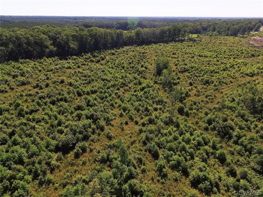 685 Germantown Road Keysville, VA 23947 - Photo 11 of 49 a view of a field with a tree