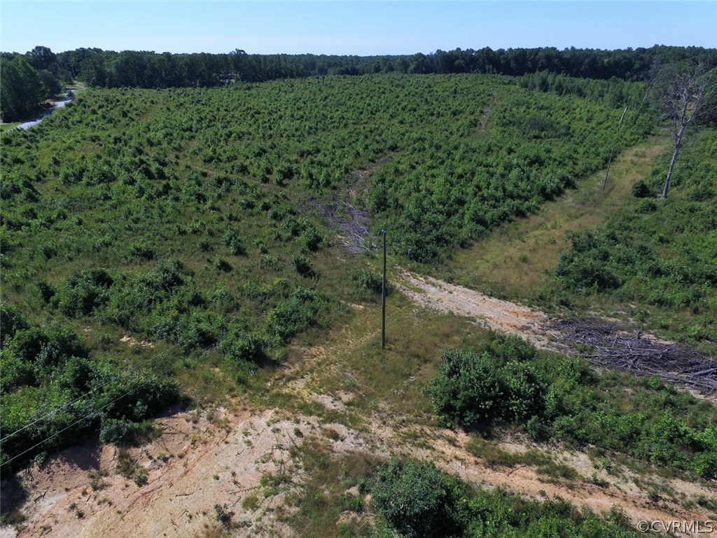 685 Germantown Road Keysville, VA 23947 - Photo 16 of 49 a view of a valley