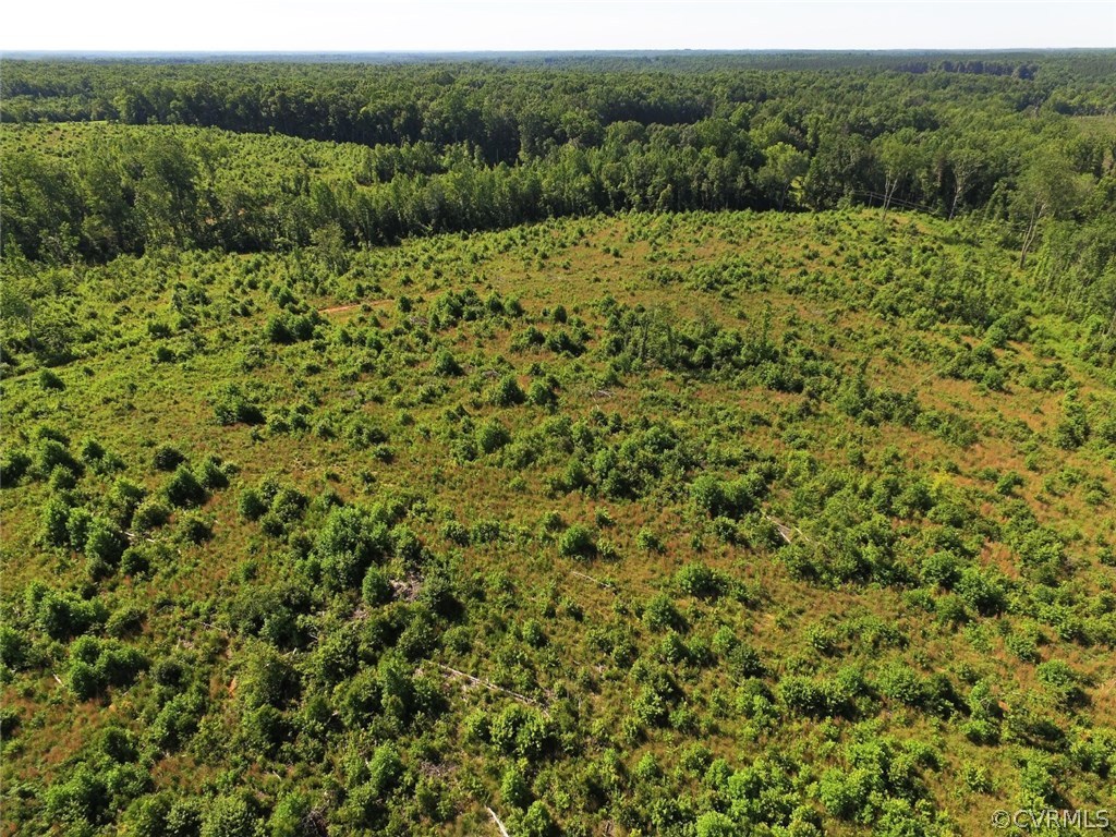 685 Germantown Road Keysville, VA 23947 - Photo 21 of 49 a view of a field of grass and trees