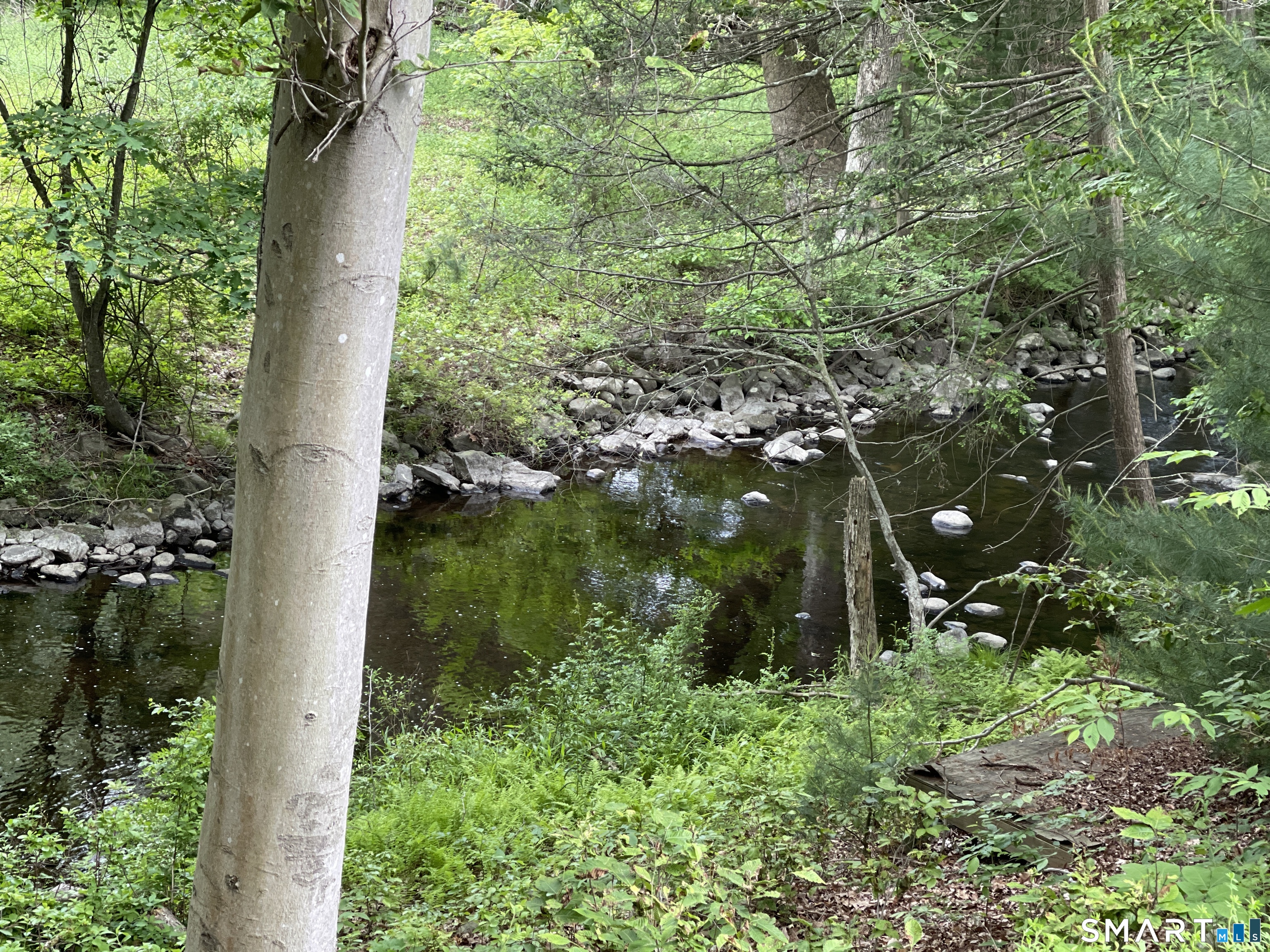 36 Lyons Plain Road Westport, CT 06880 - Photo 2 of 9 a view of a garden