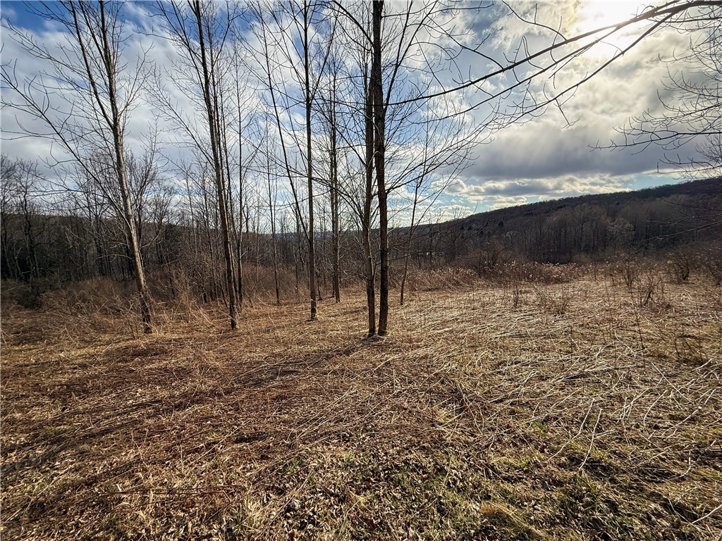 Briggs Hill Road Van Etten, NY 14889 - Photo 11 of 50