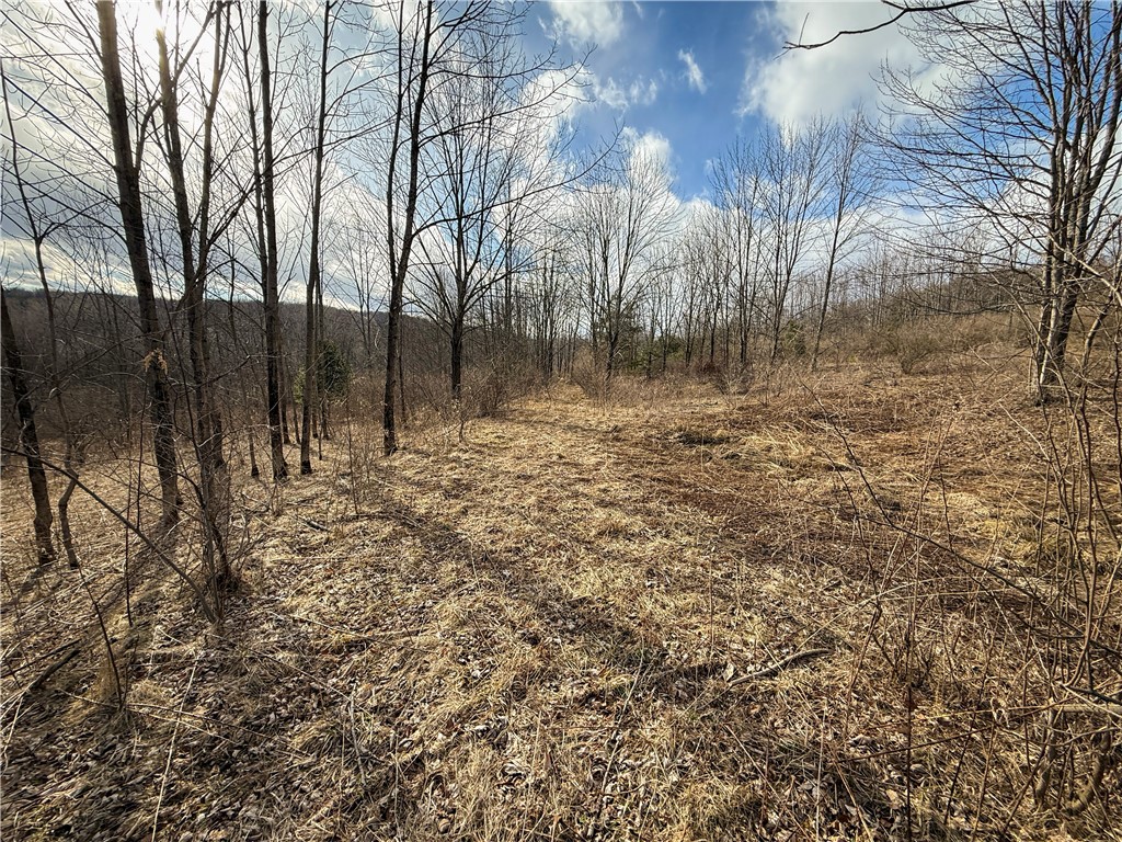 Briggs Hill Road Van Etten, NY 14889 - Photo 12 of 50