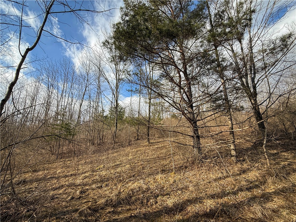 Briggs Hill Road Van Etten, NY 14889 - Photo 13 of 50