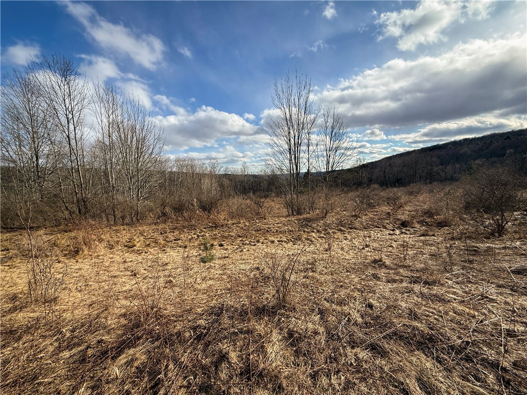 Briggs Hill Road Van Etten, NY 14889 - Photo 14 of 50