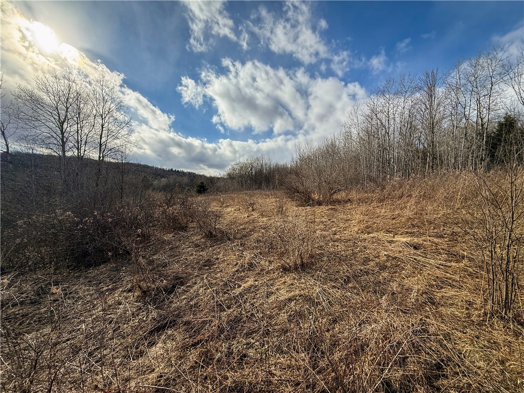 Briggs Hill Road Van Etten, NY 14889 - Photo 15 of 50