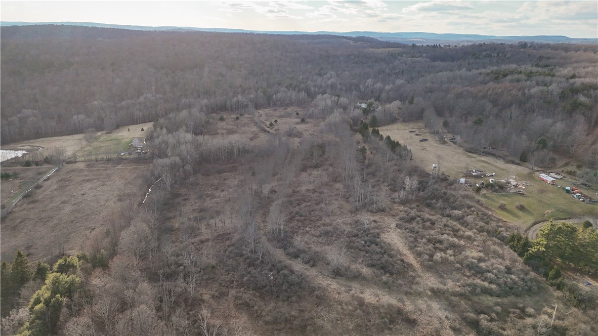 Briggs Hill Road Van Etten, NY 14889 - Photo 16 of 50