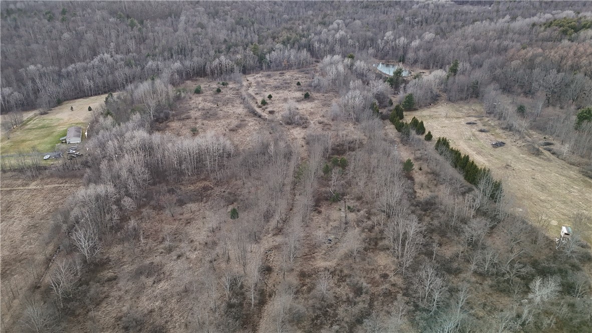 Briggs Hill Road Van Etten, NY 14889 - Photo 17 of 50