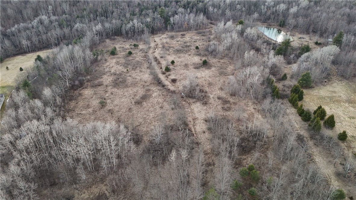 Briggs Hill Road Van Etten, NY 14889 - Photo 18 of 50