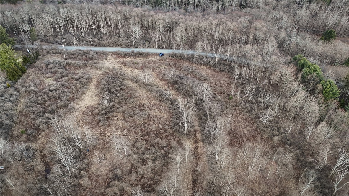 Briggs Hill Road Van Etten, NY 14889 - Photo 19 of 50