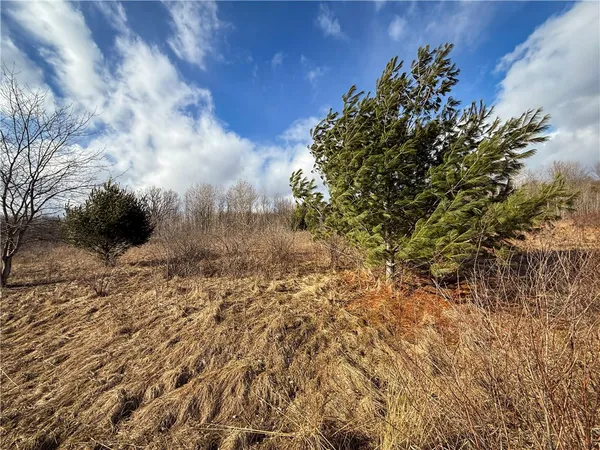 $129,900 | Briggs Hill Road, Van Etten, NY 14889