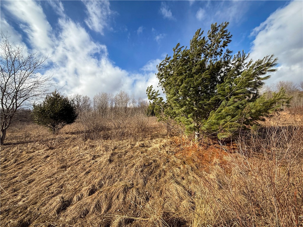 Briggs Hill Road Van Etten, NY 14889 - Photo 20 of 50