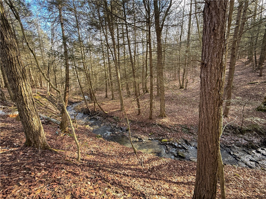 Briggs Hill Road Van Etten, NY 14889 - Photo 21 of 50