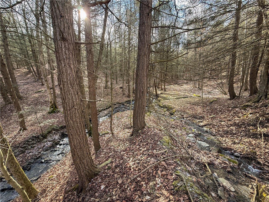 Briggs Hill Road Van Etten, NY 14889 - Photo 22 of 50