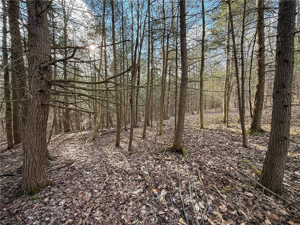 Briggs Hill Road Van Etten, NY 14889 - Photo 23 of 50