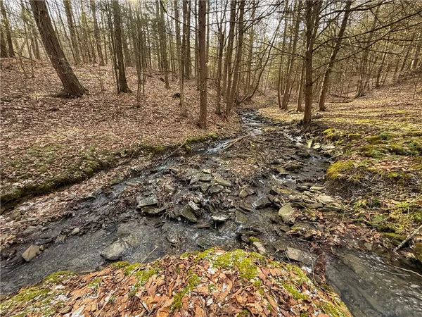 $129,900 | Briggs Hill Road, Van Etten, NY 14889
