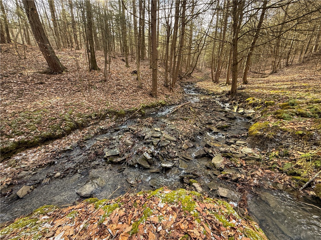 Briggs Hill Road Van Etten, NY 14889 - Photo 24 of 50