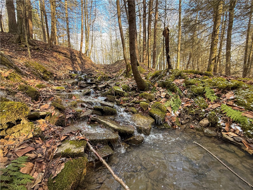 Briggs Hill Road Van Etten, NY 14889 - Photo 25 of 50