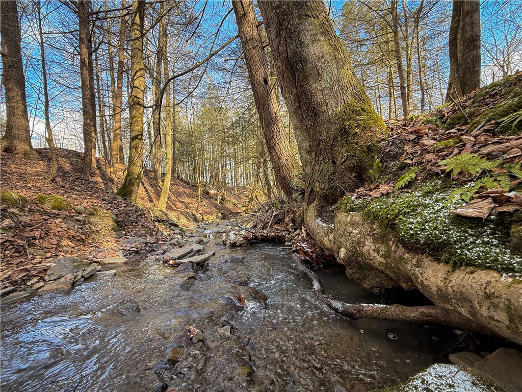 Briggs Hill Road Van Etten, NY 14889 - Photo 26 of 50