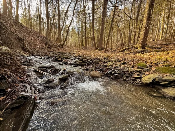 $129,900 | Briggs Hill Road, Van Etten, NY 14889