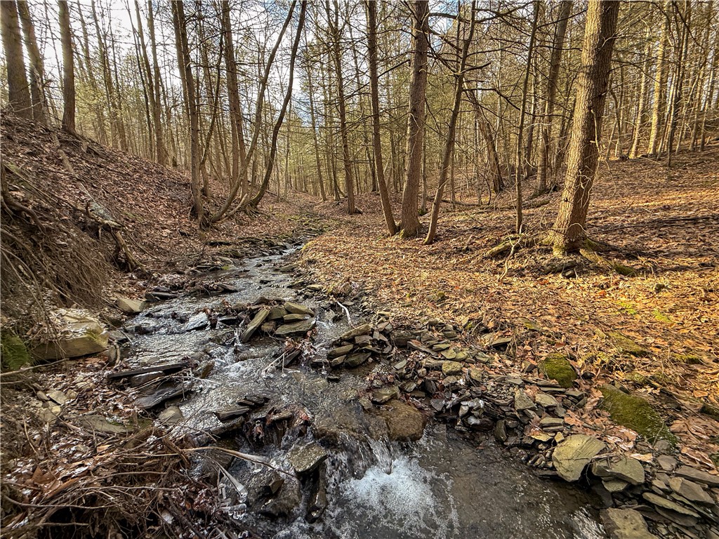 Briggs Hill Road Van Etten, NY 14889 - Photo 28 of 50