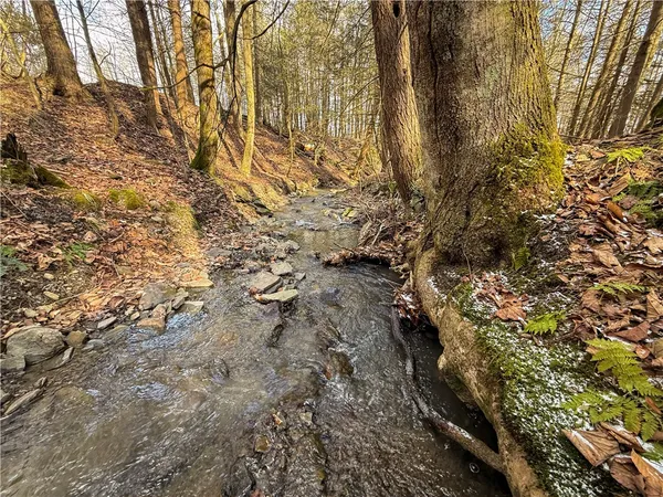 $129,900 | Briggs Hill Road, Van Etten, NY 14889