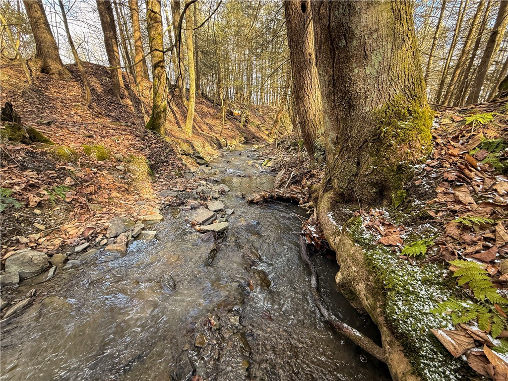 Briggs Hill Road Van Etten, NY 14889 - Photo 29 of 50