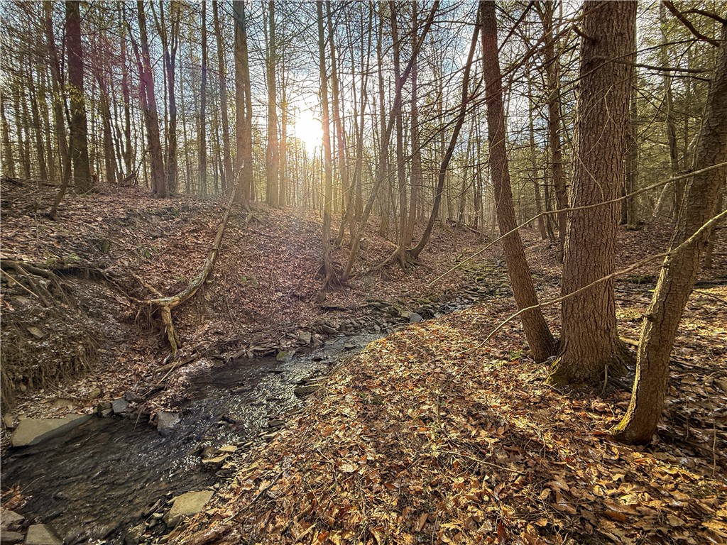 Briggs Hill Road Van Etten, NY 14889 - Photo 30 of 50