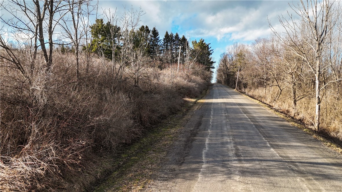 Briggs Hill Road Van Etten, NY 14889 - Photo 3 of 50