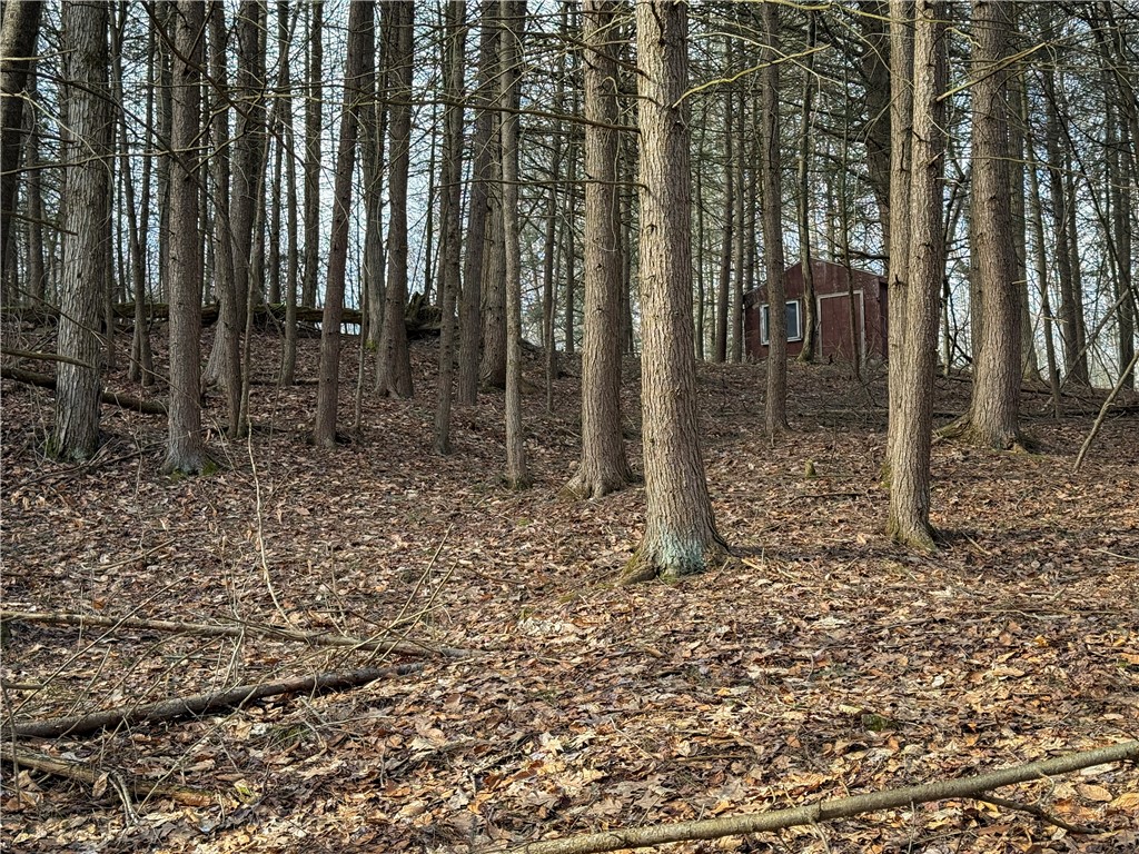 Briggs Hill Road Van Etten, NY 14889 - Photo 31 of 50