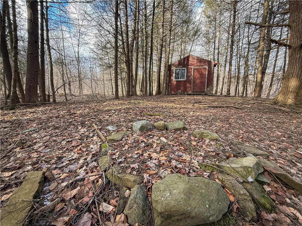 Briggs Hill Road Van Etten, NY 14889 - Photo 32 of 50