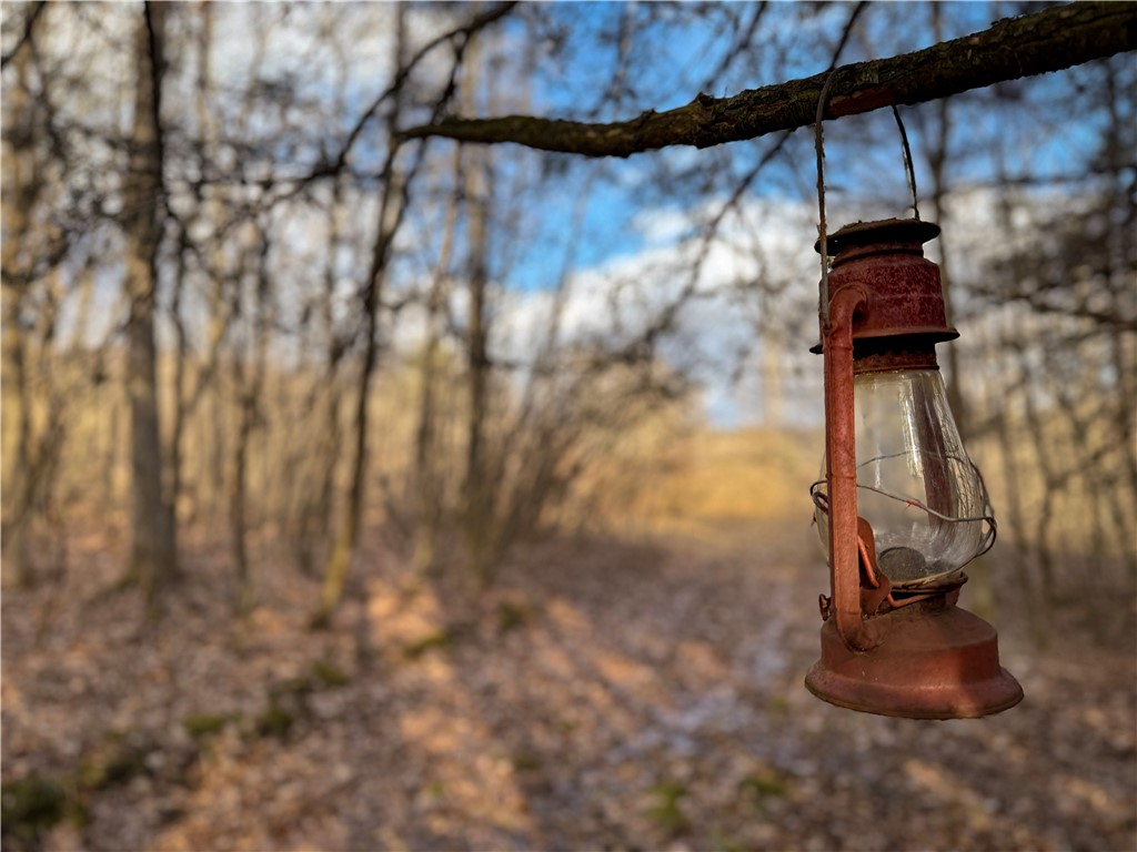 Briggs Hill Road Van Etten, NY 14889 - Photo 34 of 50