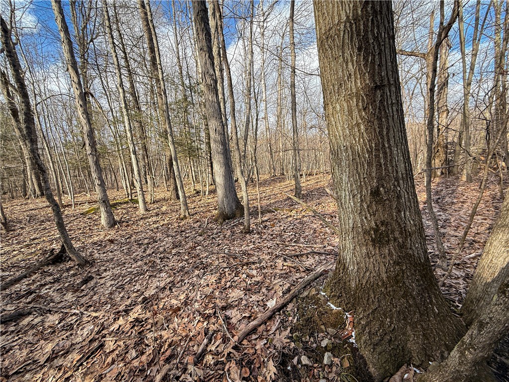 Briggs Hill Road Van Etten, NY 14889 - Photo 35 of 50