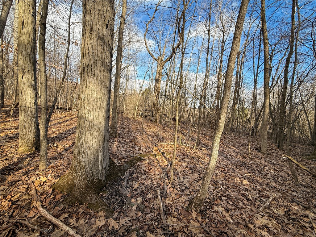 Briggs Hill Road Van Etten, NY 14889 - Photo 36 of 50