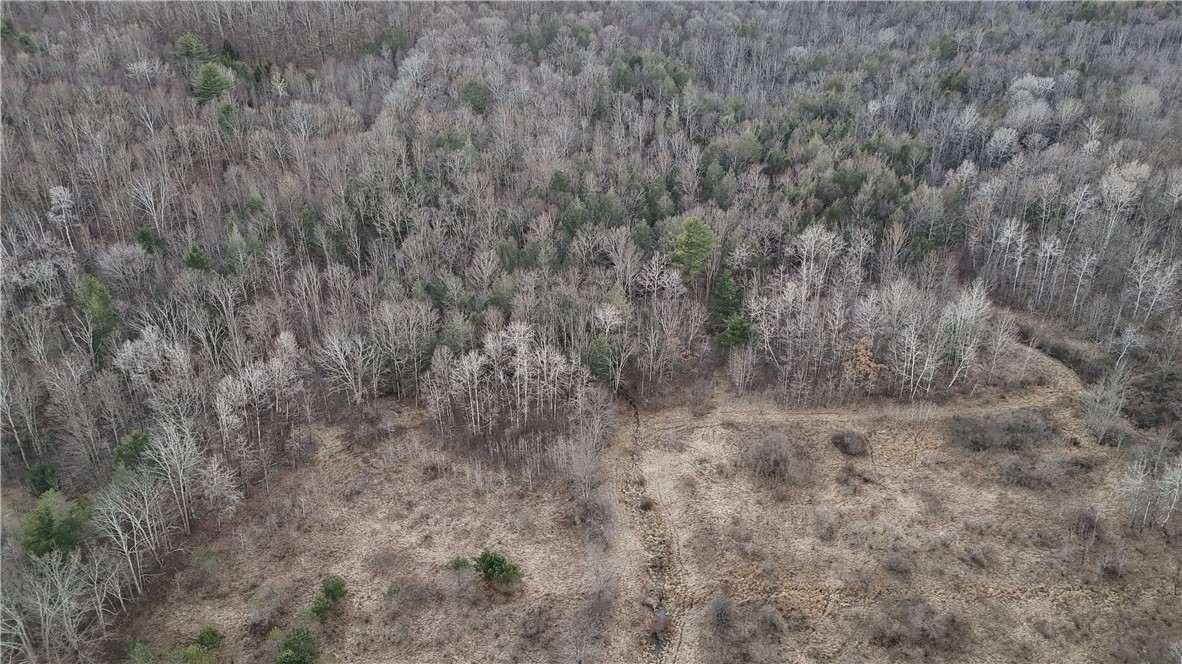 Briggs Hill Road Van Etten, NY 14889 - Photo 37 of 50