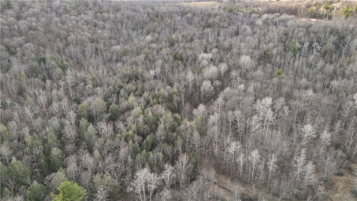 Briggs Hill Road Van Etten, NY 14889 - Photo 38 of 50