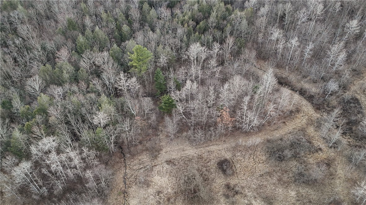 Briggs Hill Road Van Etten, NY 14889 - Photo 39 of 50