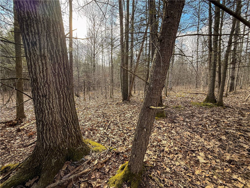 Briggs Hill Road Van Etten, NY 14889 - Photo 40 of 50