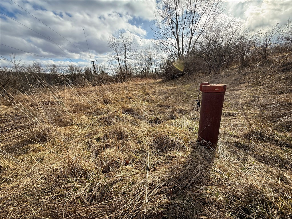 Briggs Hill Road Van Etten, NY 14889 - Photo 4 of 50