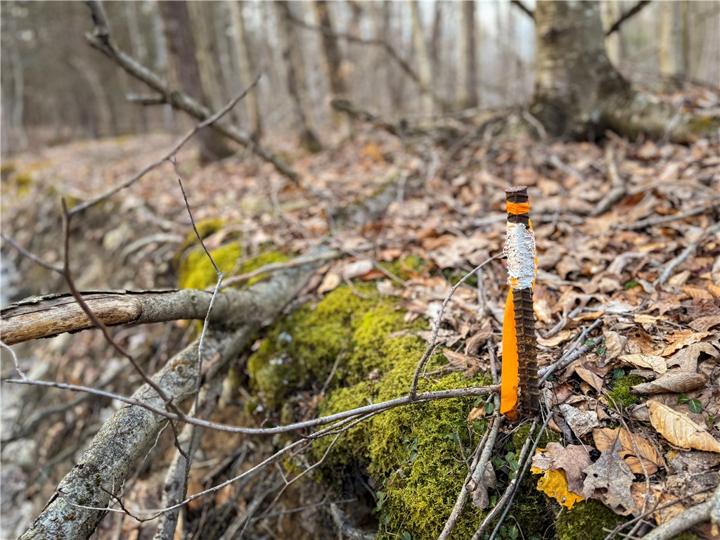 Briggs Hill Road Van Etten, NY 14889 - Photo 42 of 50