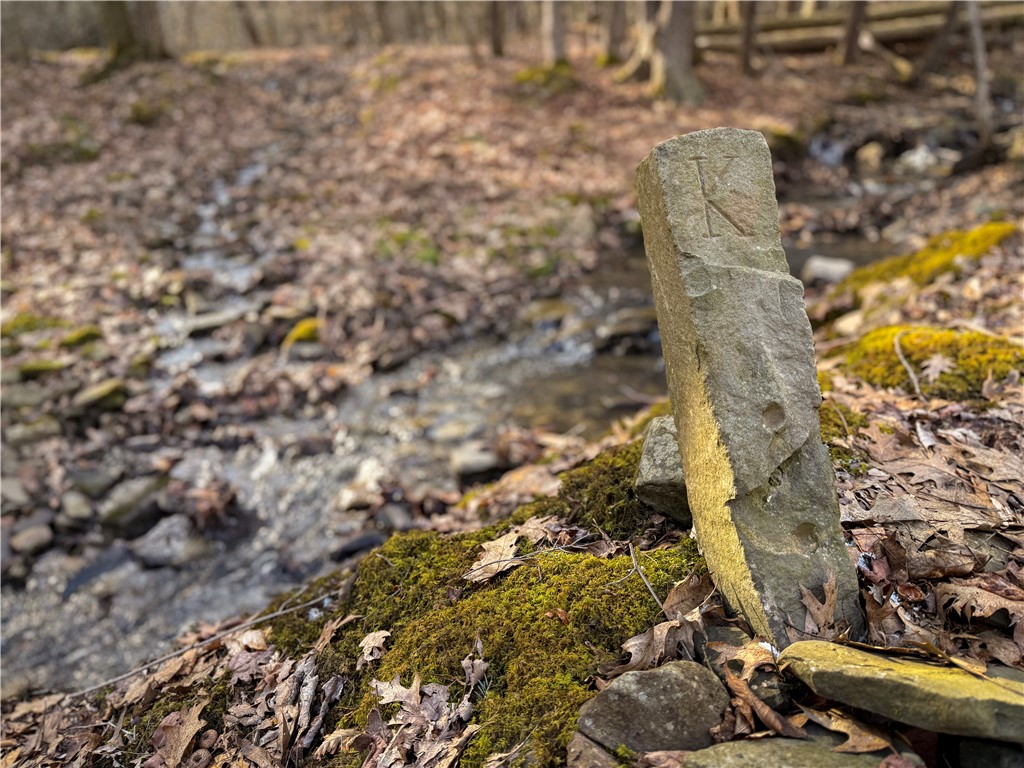 Briggs Hill Road Van Etten, NY 14889 - Photo 43 of 50