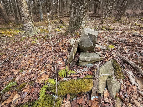 $129,900 | Briggs Hill Road, Van Etten, NY 14889