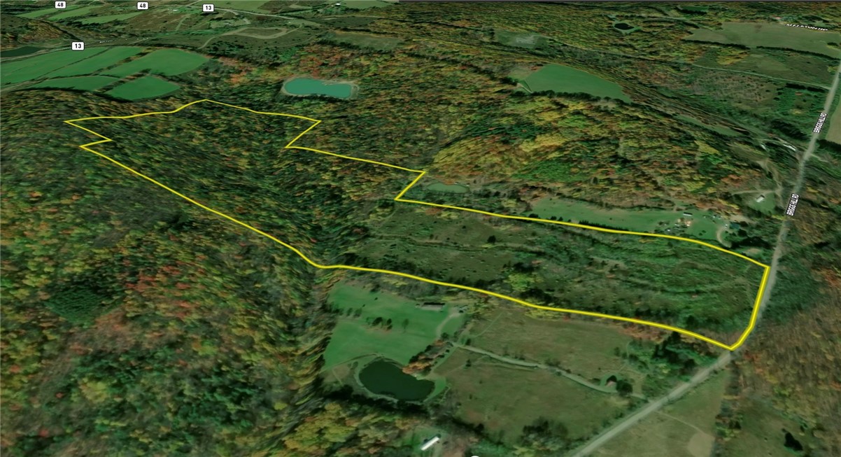 Briggs Hill Road Van Etten, NY 14889 - Photo 45 of 50