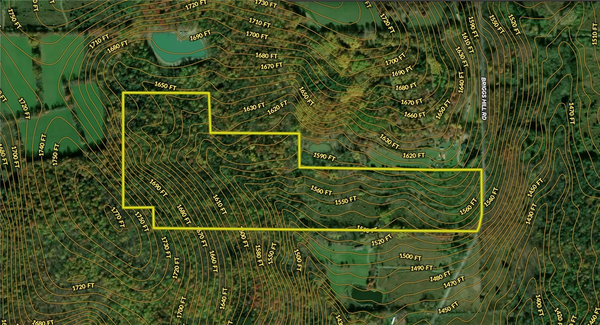 Briggs Hill Road Van Etten, NY 14889 - Photo 47 of 50