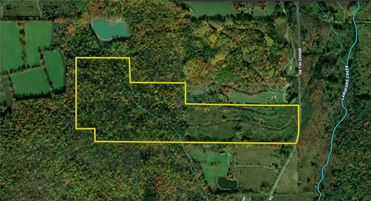 Briggs Hill Road Van Etten, NY 14889 - Photo 48 of 50