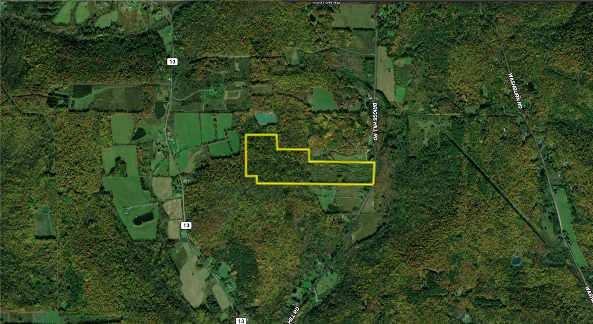 Briggs Hill Road Van Etten, NY 14889 - Photo 49 of 50