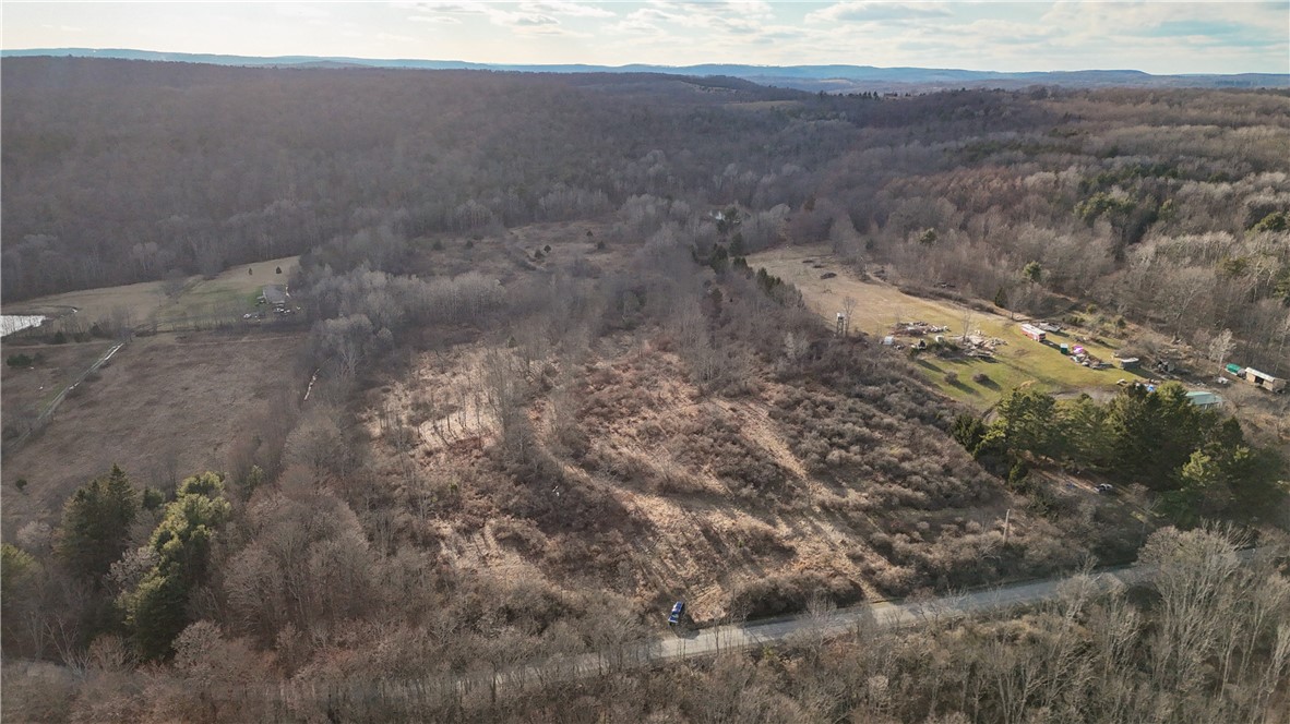 Briggs Hill Road Van Etten, NY 14889 - Photo 6 of 50