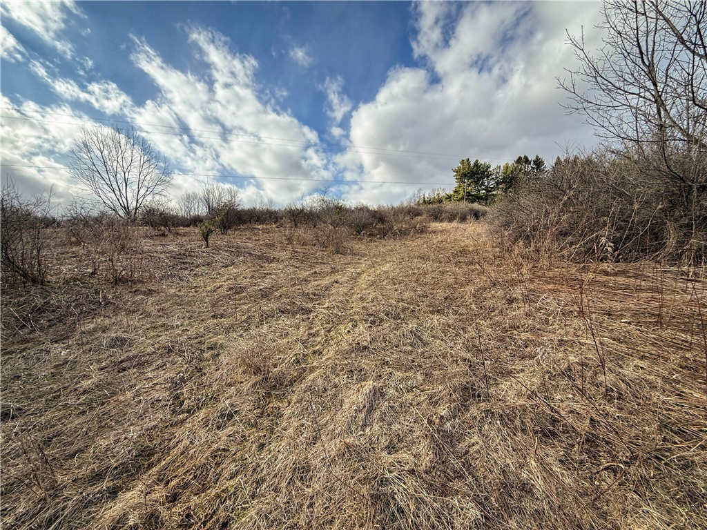 Briggs Hill Road Van Etten, NY 14889 - Photo 7 of 50